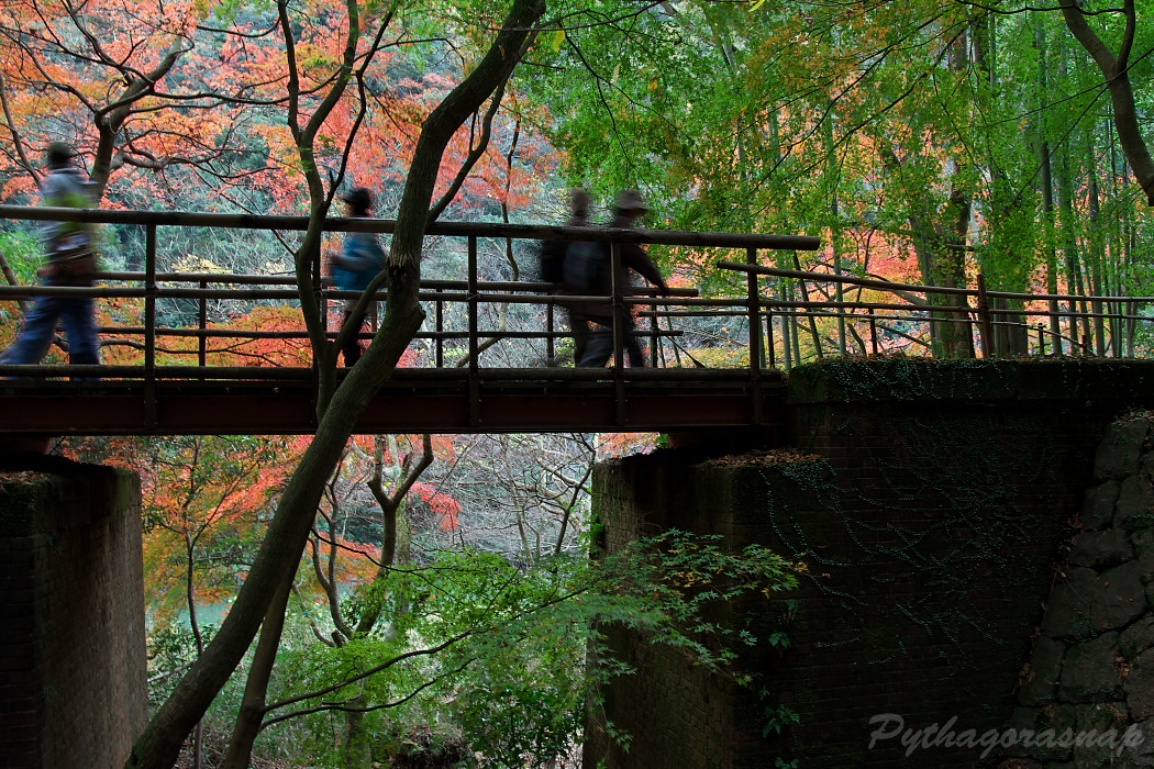 愛岐トンネル群・秋の特別公開。_c0187584_2252562.jpg