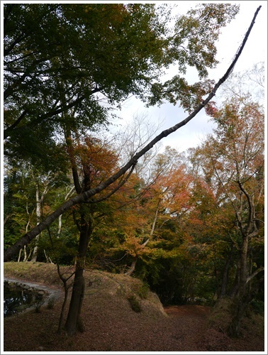 国東半島へ紅葉狩り その4 文珠仙寺_b0175688_21583621.jpg