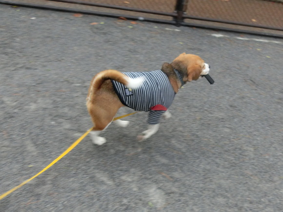 a0319693_5572431.jpg