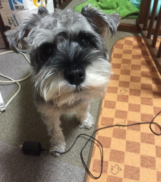 b0188998_22315440.jpeg