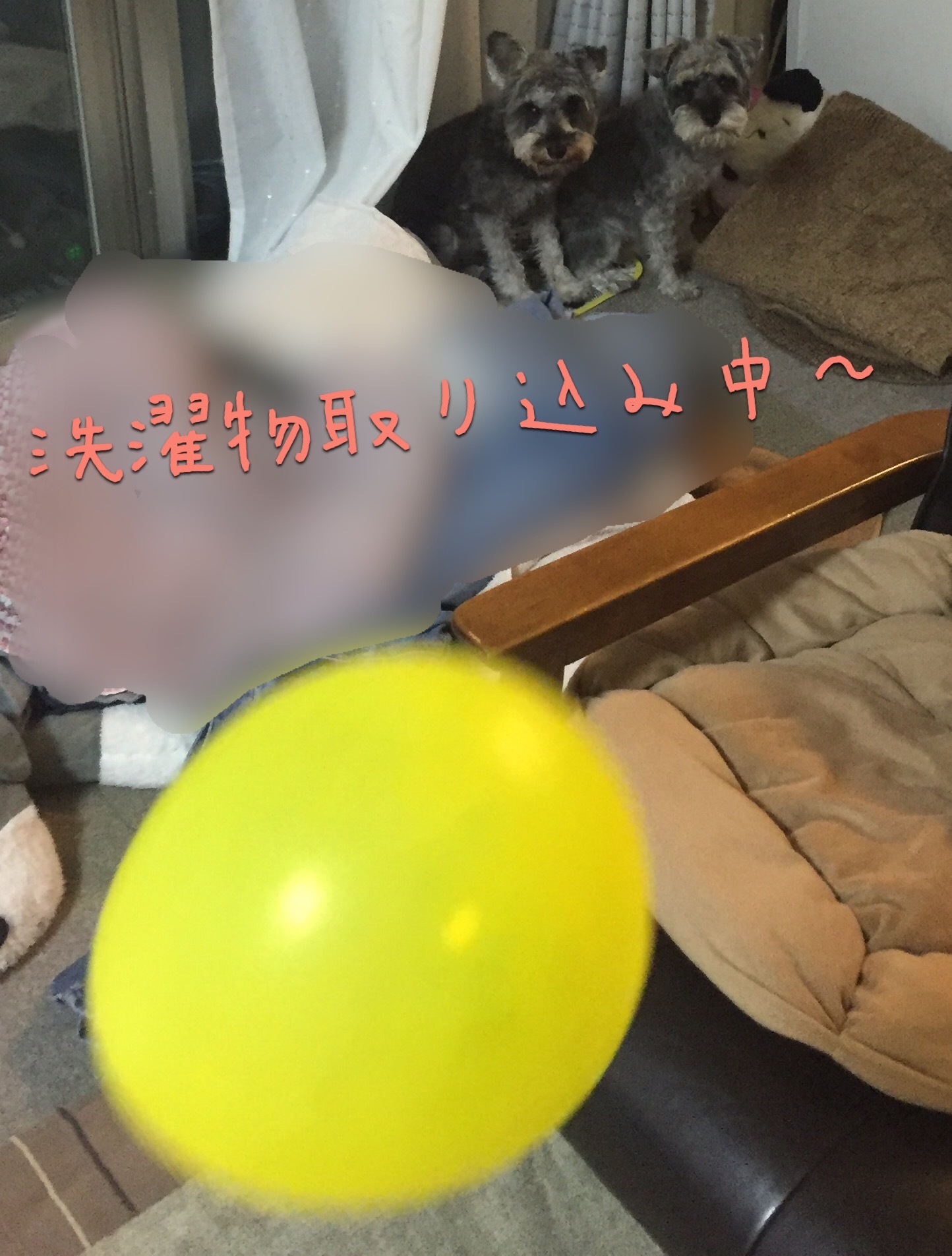 b0188998_22323770.jpeg