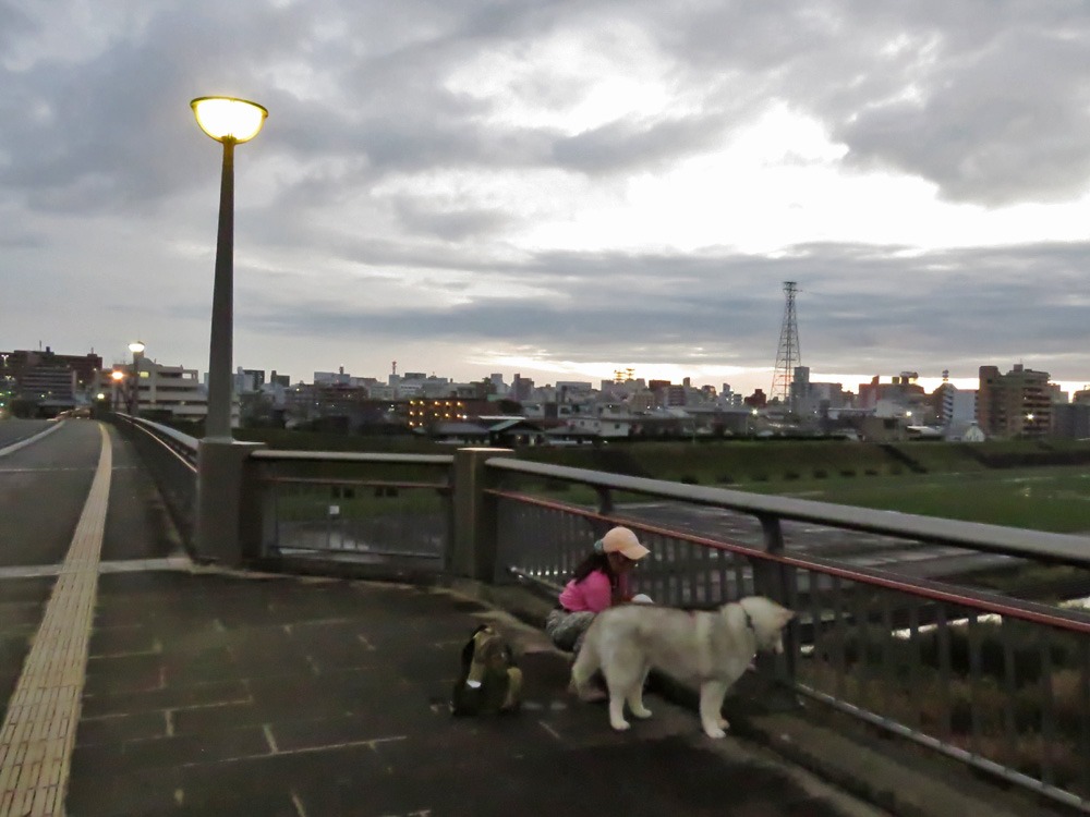 c0049299_22591223.jpg