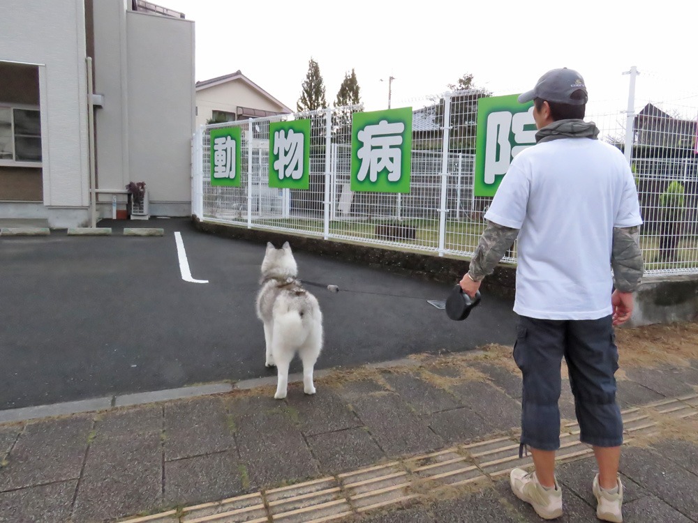 いつもと違う道　(*^_^*)_c0049299_231214.jpg