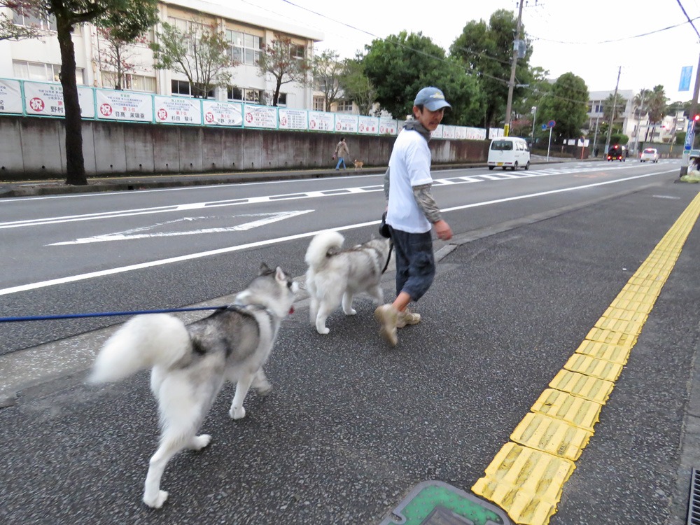 いつもと違う道　(*^_^*)_c0049299_2332235.jpg