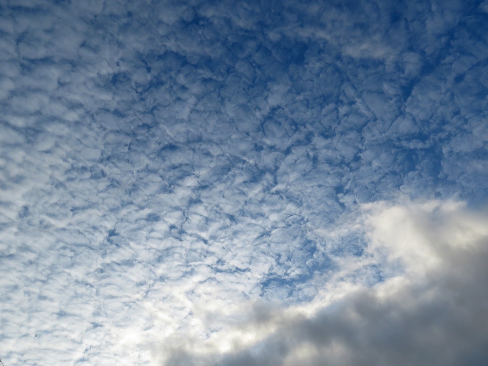 c0049299_2371664.jpg