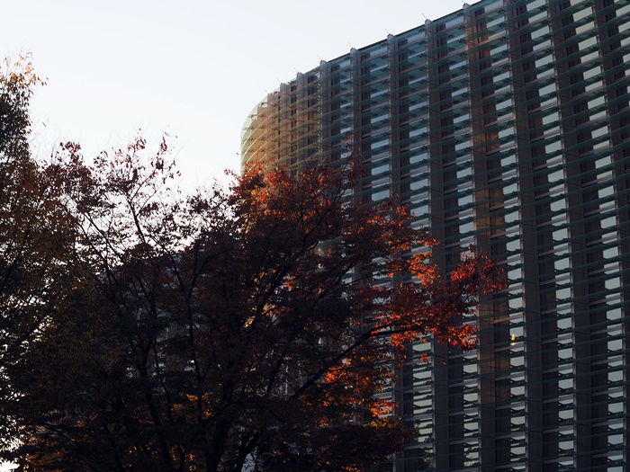 c0187503_20294364.jpg