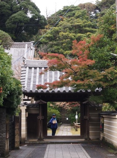 ガイド協会史跡めぐり－特別鑑賞！紅葉の谷戸 古刹庭園とやぐらを訪ねる(2015.11.26)_e0245404_0521974.jpg