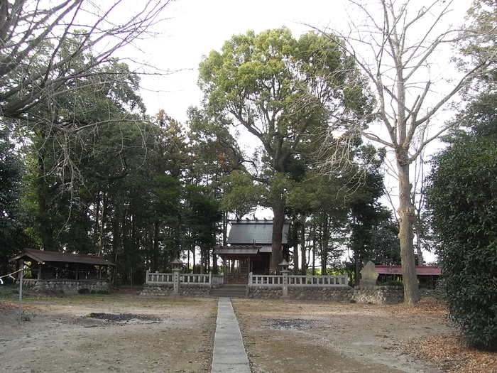 近所の神社_b0013305_160585.jpg