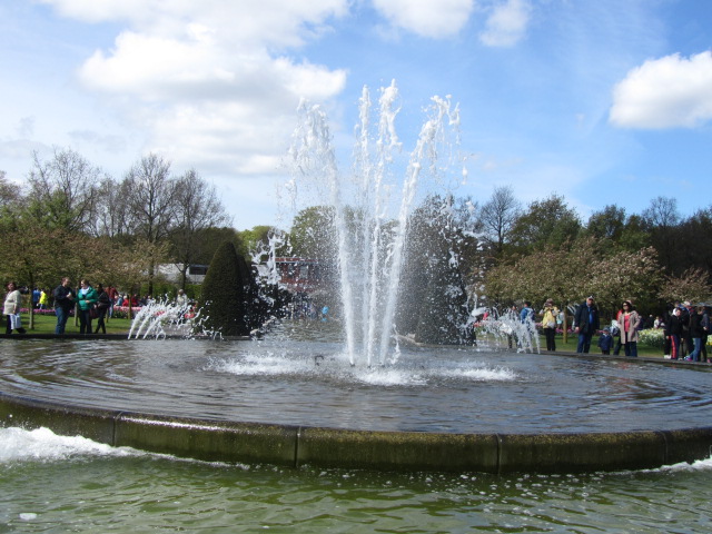 a0100706_2337025.jpg
