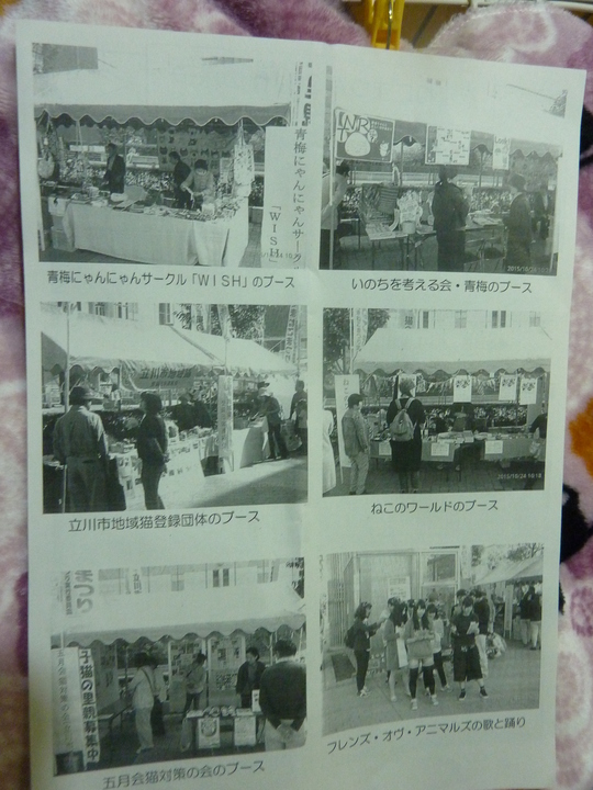 d0171907_18511763.jpg