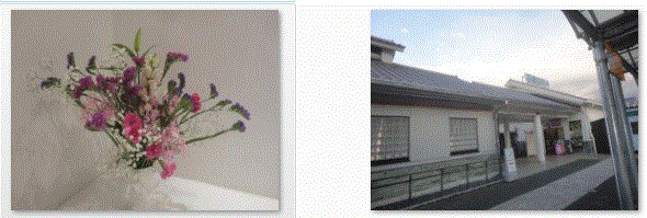 f0231709_16373383.gif