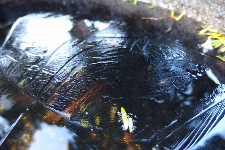a0268412_2344882.jpg