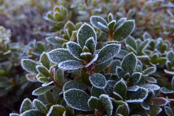 a0268412_2345112.jpg