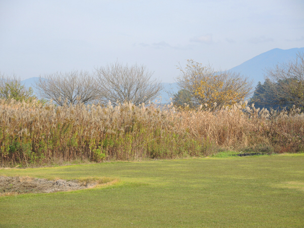 c0346119_23414624.jpg