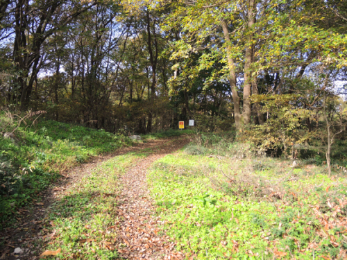 c0346119_23414782.jpg