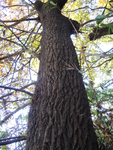 c0346119_23414835.jpg