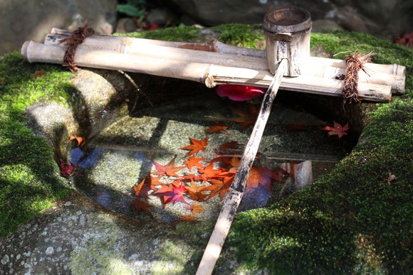 京都の紅葉　単焦点レンズを持って霊鑑寺に行ってきた_d0262326_914309.jpg