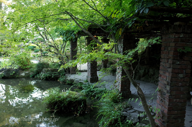 d0108132_21132225.jpg