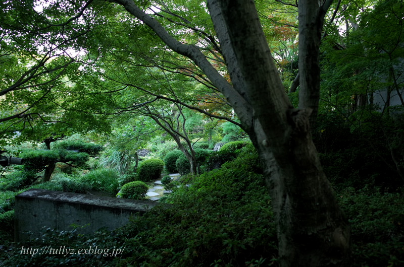 大山崎山荘美術館（２）_d0108132_21154530.jpg