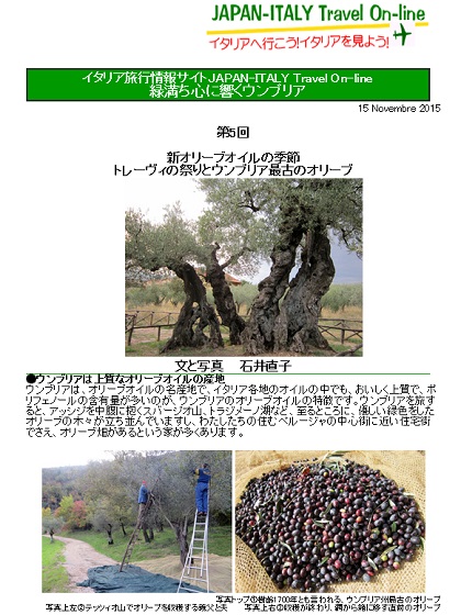 新オリーブオイルの季節、トレーヴィの祭りとウンブリア最古のオリーブ、JITRA連載第5回_f0234936_7585025.jpg