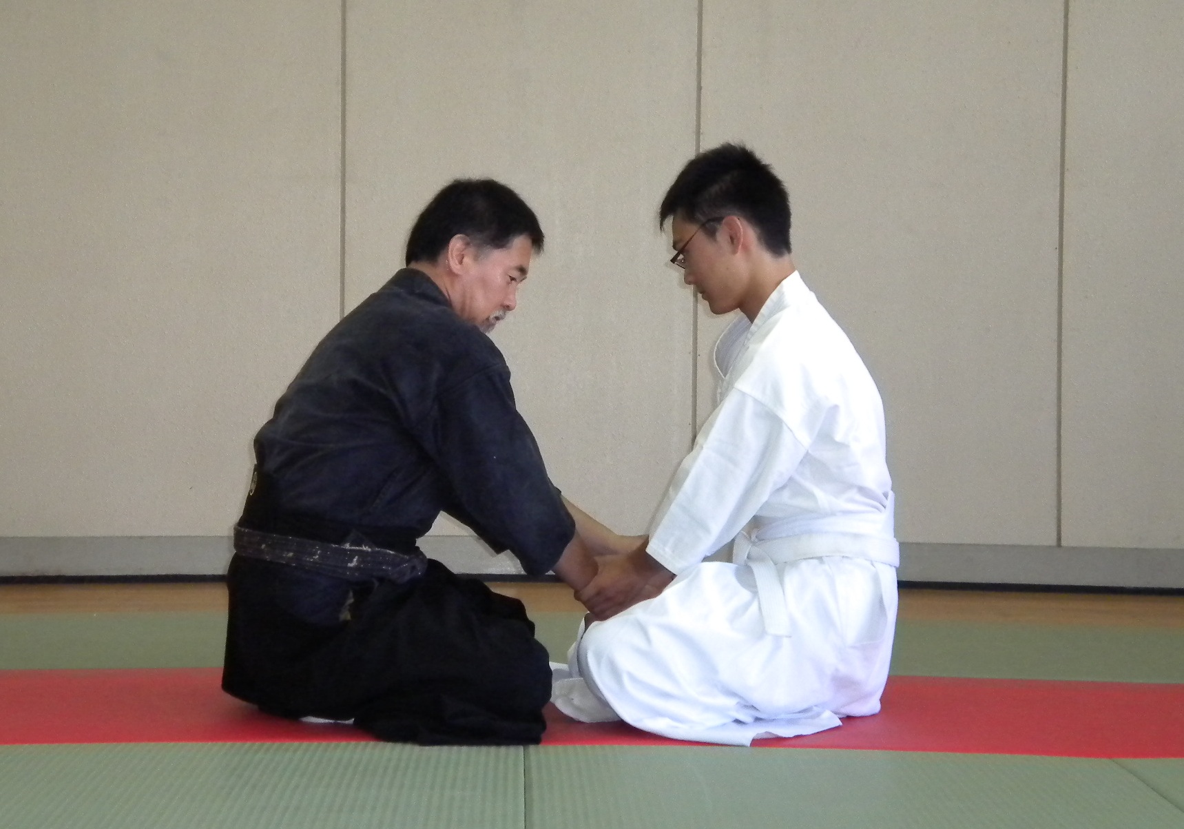 甲州伝渋川流柔術復元 6 国際水月塾武術協会 International Suigetsujuku Bujutsu Association 甲州伝渋川流柔術復元 6 国際水月塾武術協会 International Suigetsujuku Bujutsu Association