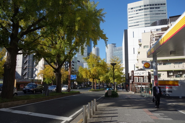 息が白く見えた朝_d0101846_07450314.jpg