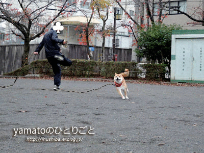 a0286855_6323279.gif