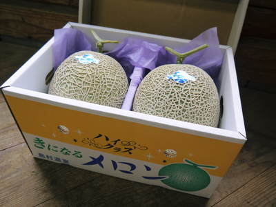 マスクメロン「アールスメロン」 次回は12月8日頃出荷予定!今年の最終発送です!!_a0254656_16242114.jpg