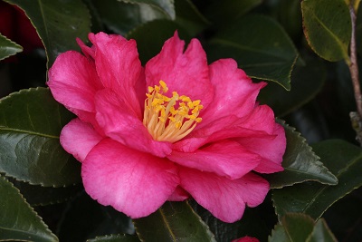 a0267370_2241174.jpg