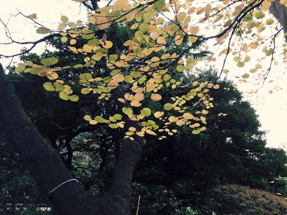 c0238971_16020656.jpg