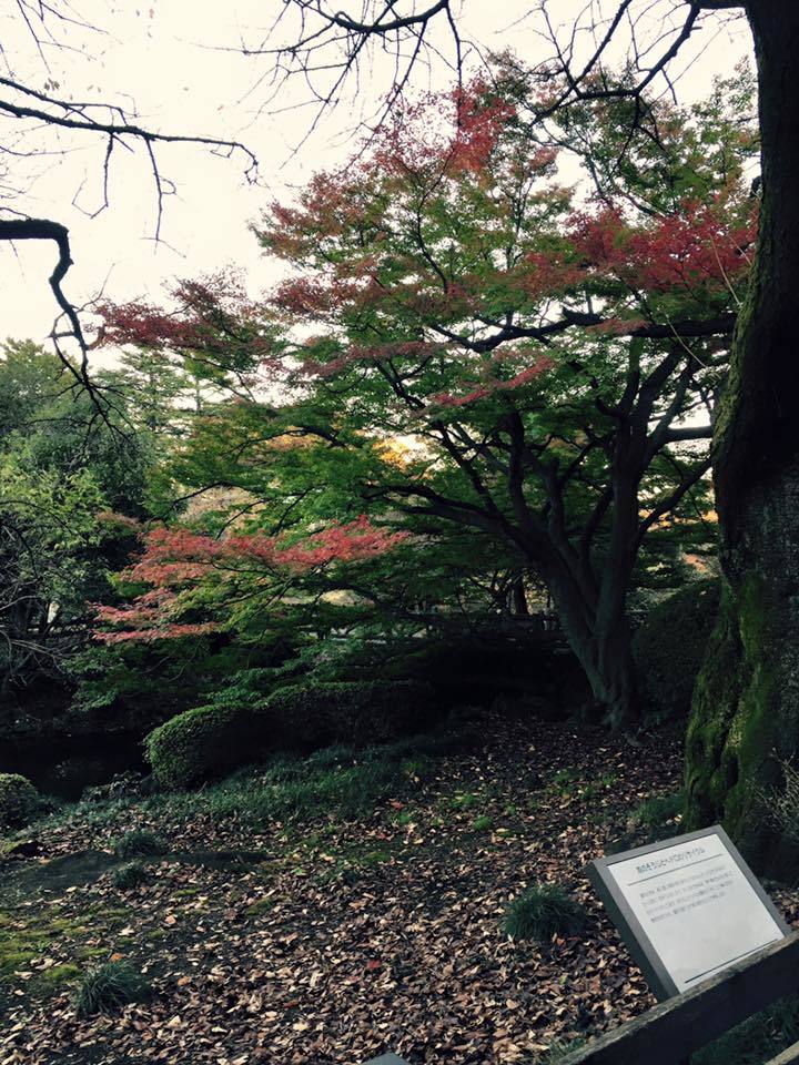 c0238971_16022139.jpg