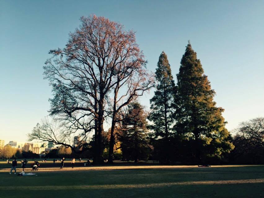 c0238971_16031724.jpg