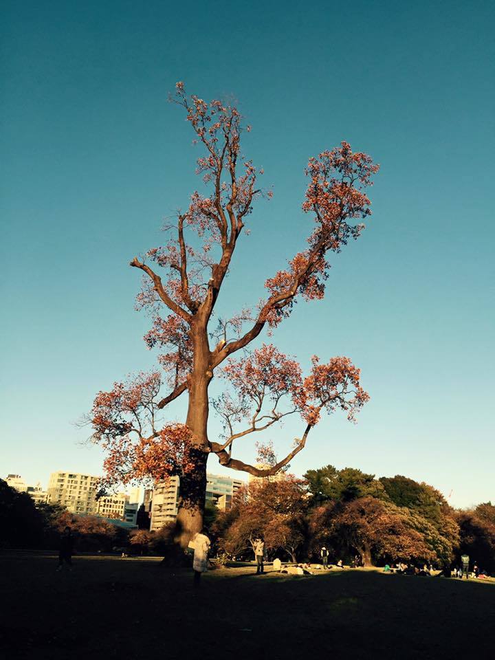 c0238971_16032900.jpg