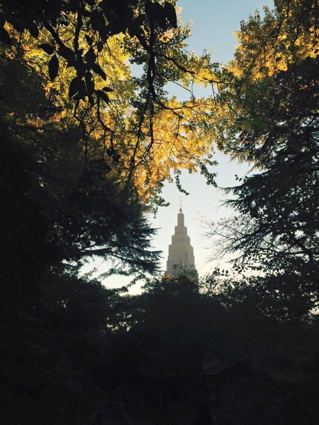 c0238971_16043923.jpg