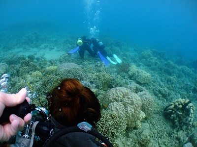 「DIVINGだ!!押忍!!」_b0033573_18135904.jpg