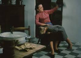 だれのものでもないチェレ('76ハンガリー) Amazon.co.jp: だれのものでもないチェレ [DVD] : ジュジャ