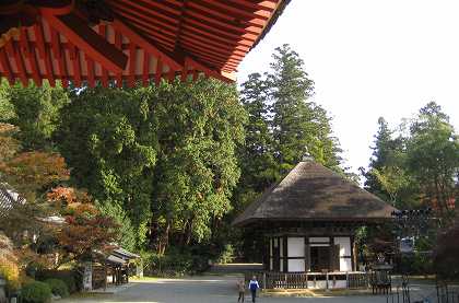 奥河内の灯里　観心寺　2015 ②_c0229483_19124421.jpg