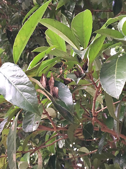 b0194593_0182914.jpg