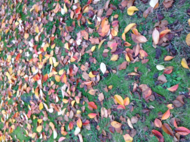 b0161707_17395455.jpg