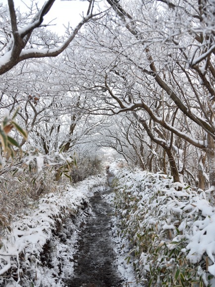 今年も冬がやって来た！_b0277008_21083581.jpg