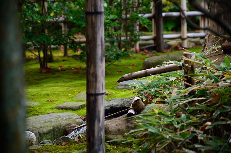 2015京都の紅葉・花園　妙心寺塔頭大法院_f0032011_18467.jpg