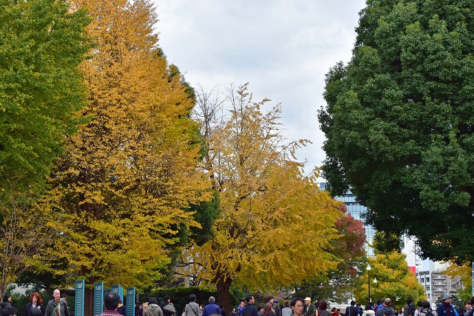 a0151913_2214687.jpg