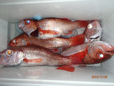 f0031613_1844042.jpg