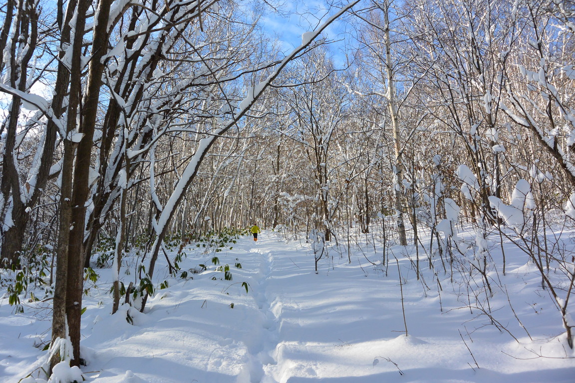 2015年11月『そして札幌は大雪だった』  November 2015 \"Big snow back in Sapporo\"_c0219616_17181178.jpg