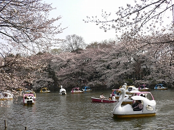 吉祥寺_b0183917_11163005.jpg