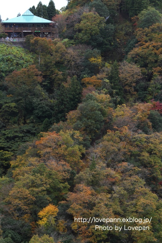 c0136926_9532574.jpg