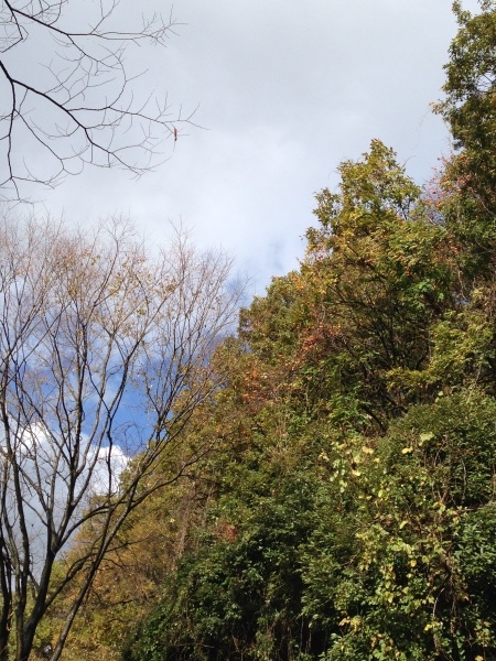 b0097729_21431342.jpeg