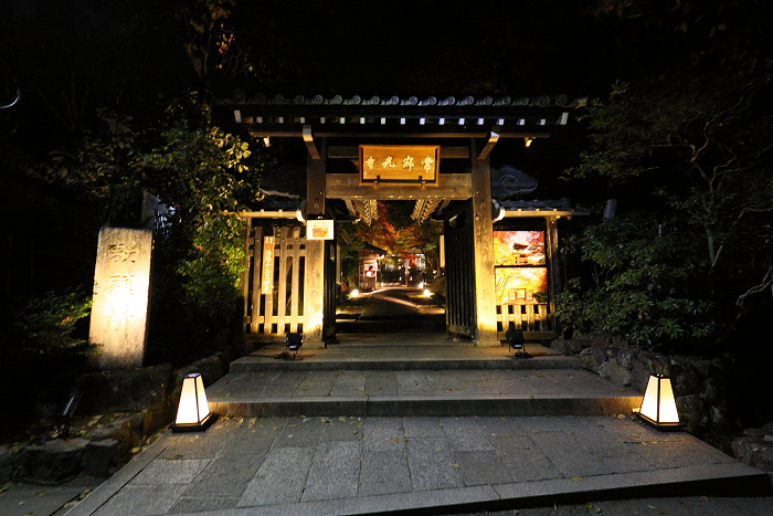 紅葉の京都2015 －常寂光寺 紅葉特別ライトアップ（後編）－_b0169330_13575233.jpg