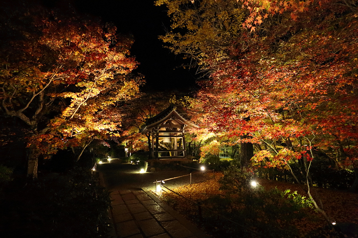 紅葉の京都2015 －常寂光寺 紅葉特別ライトアップ（後編）－_b0169330_14115077.jpg