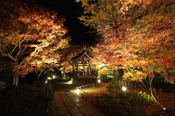 紅葉の京都2015 －常寂光寺 紅葉特別ライトアップ（後編）－_b0169330_14115567.jpg